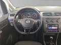 Volkswagen Caddy Maxi 2,0TDI  BMT 4Motion Standheizung/7 Sitze Silber - thumbnail 13