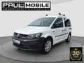Volkswagen Caddy Kombi BMT Klima R-Cam Tempomat AHK Euro6 Weiß - thumbnail 3