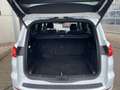 Ford S-Max ST-Line Navi 2xKamera Voll-LED ACC Sitzheiz Blanc - thumbnail 15