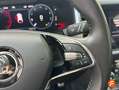 Skoda Kodiaq 2.0TDI AB tech Ambition 4x2 DSG 110kW Bleu - thumbnail 14