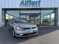Volkswagen Golf Variant 1.6TDI Technology Bus 115cv VAN 4Posti IVA Gris - thumbnail 1