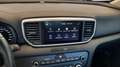 Kia Sportage 1.6 CRDI 136 CV 2WD Mild Hybrid Business Class Blu/Azzurro - thumbnail 12