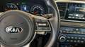 Kia Sportage 1.6 CRDI 136 CV 2WD Mild Hybrid Business Class Blu/Azzurro - thumbnail 14