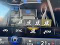 Volkswagen Touareg 3.0 V6 tdi Elegance 286cv tiptronic Bianco - thumbnail 12