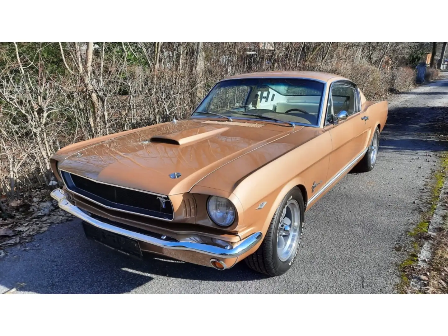 Ford Mustang Fastback  Restauriert/Entlackt/KTL 2+ Gold - 1