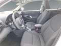Toyota Yaris Cross 1.5 Hybrid Business Edition Kam+Klima Blanco - thumbnail 10