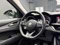 Alfa Romeo Stelvio 2.2 t Executive 190cv Grigio - thumbnail 10