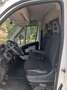 Peugeot Boxer Peugeot Boxer (doppia porta laterale) Bianco - thumbnail 12