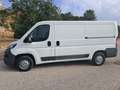Peugeot Boxer Peugeot Boxer (doppia porta laterale) Bianco - thumbnail 4