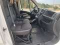 Peugeot Boxer Peugeot Boxer (doppia porta laterale) Bianco - thumbnail 14