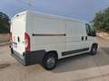 Peugeot Boxer Peugeot Boxer (doppia porta laterale) Bianco - thumbnail 8