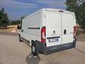 Peugeot Boxer Peugeot Boxer (doppia porta laterale) Bianco - thumbnail 10