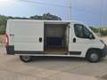 Peugeot Boxer Peugeot Boxer (doppia porta laterale) Bianco - thumbnail 6