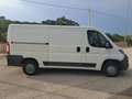 Peugeot Boxer Peugeot Boxer (doppia porta laterale) Bianco - thumbnail 5