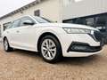 Skoda Octavia Combi 2.0 TDI NEUES MODELL*NAVI*LED*AUTO Weiß - thumbnail 1