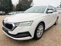 Skoda Octavia Combi 2.0 TDI NEUES MODELL*NAVI*LED*AUTO Weiß - thumbnail 2