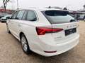 Skoda Octavia Combi 2.0 TDI NEUES MODELL*NAVI*LED*AUTO Weiß - thumbnail 8