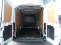 Ford Transit 2.0 tdci 130cv 330 Bianco - thumbnail 5