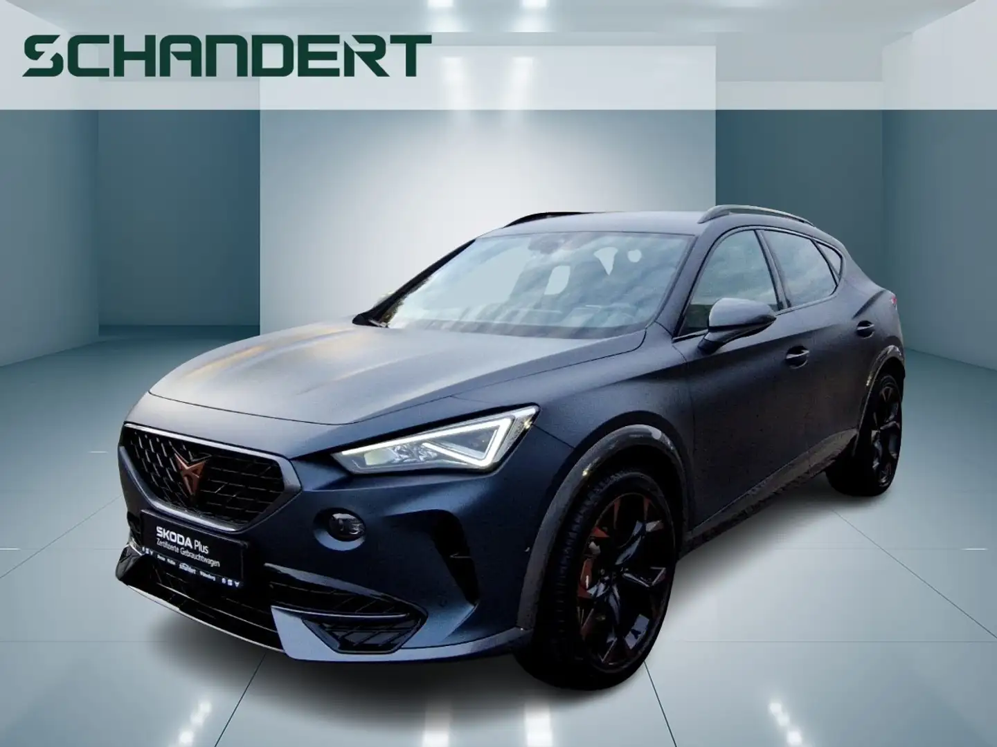 CUPRA Formentor 2.0 TSI VZ 4Drive LED Navi PLA Klimaautoma Grau - 1