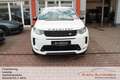 Land Rover Discovery Sport P300e R-Dynamic Head Up / Black White - thumbnail 7