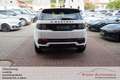 Land Rover Discovery Sport P300e R-Dynamic Head Up / Black White - thumbnail 10