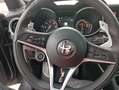 Alfa Romeo Stelvio 2.2 Executive RWD Aut. 160 Gris - thumbnail 27
