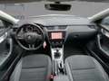 Skoda Octavia Navi SHZ Temp PDC APP  Ambition Argento - thumbnail 10