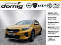 Kia XCeed Mild Hybrid Vision, Navi-Paket Gelb - thumbnail 1