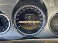 Mercedes-Benz E 200 E 200 BlueEfficiency CDI Aut. Avantgarde Blau - thumbnail 20