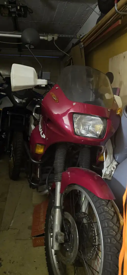 Honda XL 600 PD10 Rojo - 2