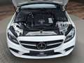 Mercedes-Benz C 300 e- T- AHK-AMG-Line Standh-1Hand 360 Kamera Blanc - thumbnail 21
