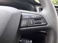 SEAT Leon Leon Business 1,2 TSI Business Rot - thumbnail 13