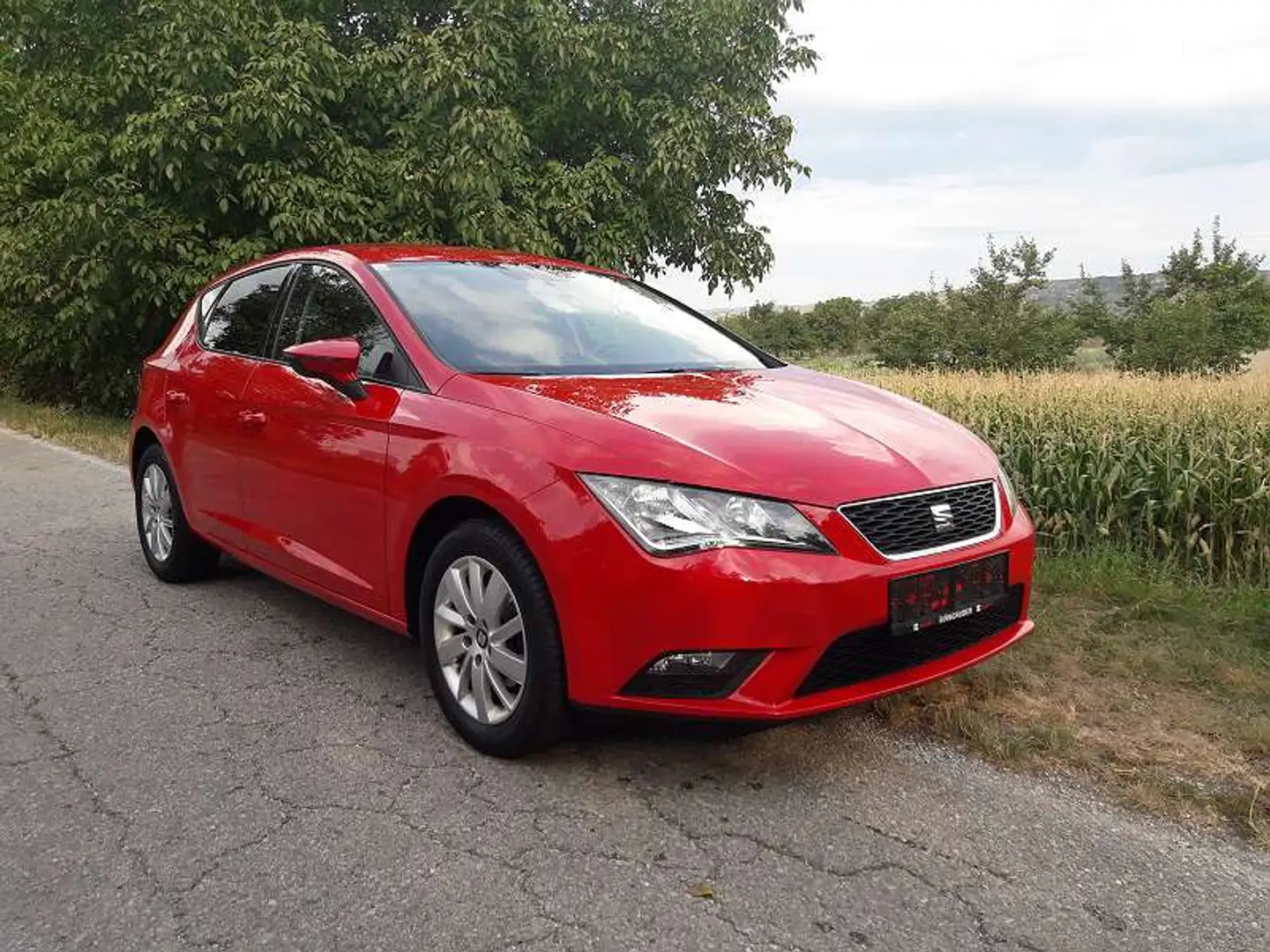 SEAT Leon Leon Business 1,2 TSI Business Rot - 1
