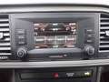 SEAT Leon Leon Business 1,2 TSI Business Rot - thumbnail 10