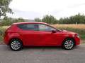 SEAT Leon Leon Business 1,2 TSI Business Rot - thumbnail 15