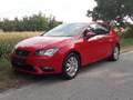 SEAT Leon Leon Business 1,2 TSI Business Rot - thumbnail 2
