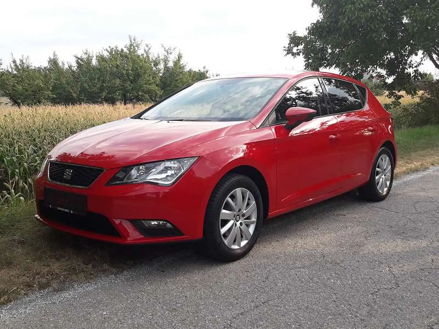 SEAT Leon Leon Business 1,2 TSI Business Rot - 2