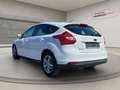 Ford Focus Trend 1.0, Sitzheizung, Klimaanlage ,ALU-Felgen Wit - thumbnail 7