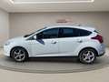 Ford Focus Trend 1.0, Sitzheizung, Klimaanlage ,ALU-Felgen Wit - thumbnail 8