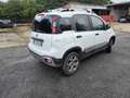Fiat Panda Panda III 2012 4x4 1.3 mjt 16v K-way 4x4 s Bianco - thumbnail 4