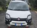 Fiat Panda Panda III 2012 4x4 1.3 mjt 16v K-way 4x4 s Bianco - thumbnail 1