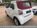 smart forTwo CABRIO/LED/SITZH/KLIMA/GARANTIE Weiß - thumbnail 5