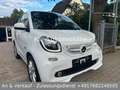 smart forTwo CABRIO/LED/SITZH/KLIMA/GARANTIE Weiß - thumbnail 3