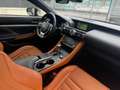 Lexus RC 300h RC 300h 2.5 cvt 223cv Iva esposta! Noir - thumbnail 15