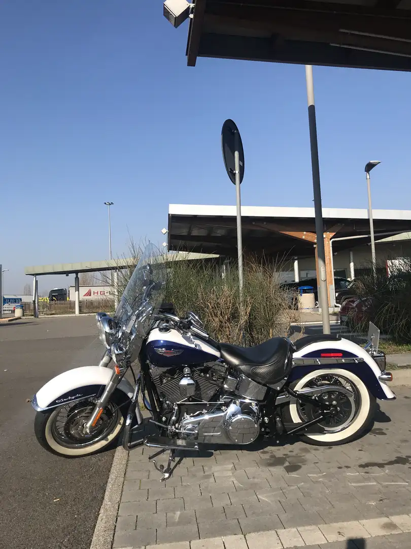 Harley-Davidson Deluxe Softail Deluxe 1585 FLSTN Blu/Azzurro - 1