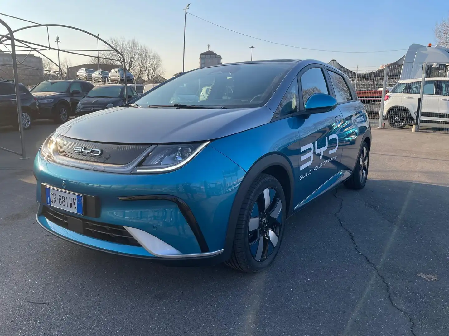 BYD Dolphin Design Blu/Azzurro - 1