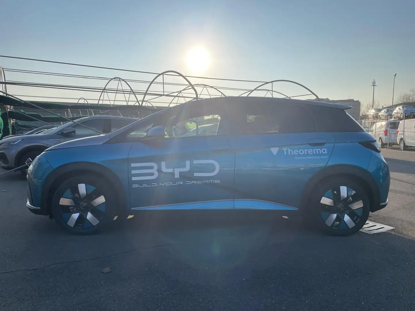 BYD Dolphin Design Blu/Azzurro - 2