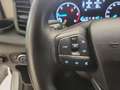 Ford Transit Kasten DoKa 2,0 EcoBlue L2H2 350 Trend Weiß - thumbnail 11
