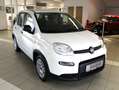 Fiat Panda Hybrid 1,0 GSE / Klima, Servo, Radio, FH, ZV Wit - thumbnail 2