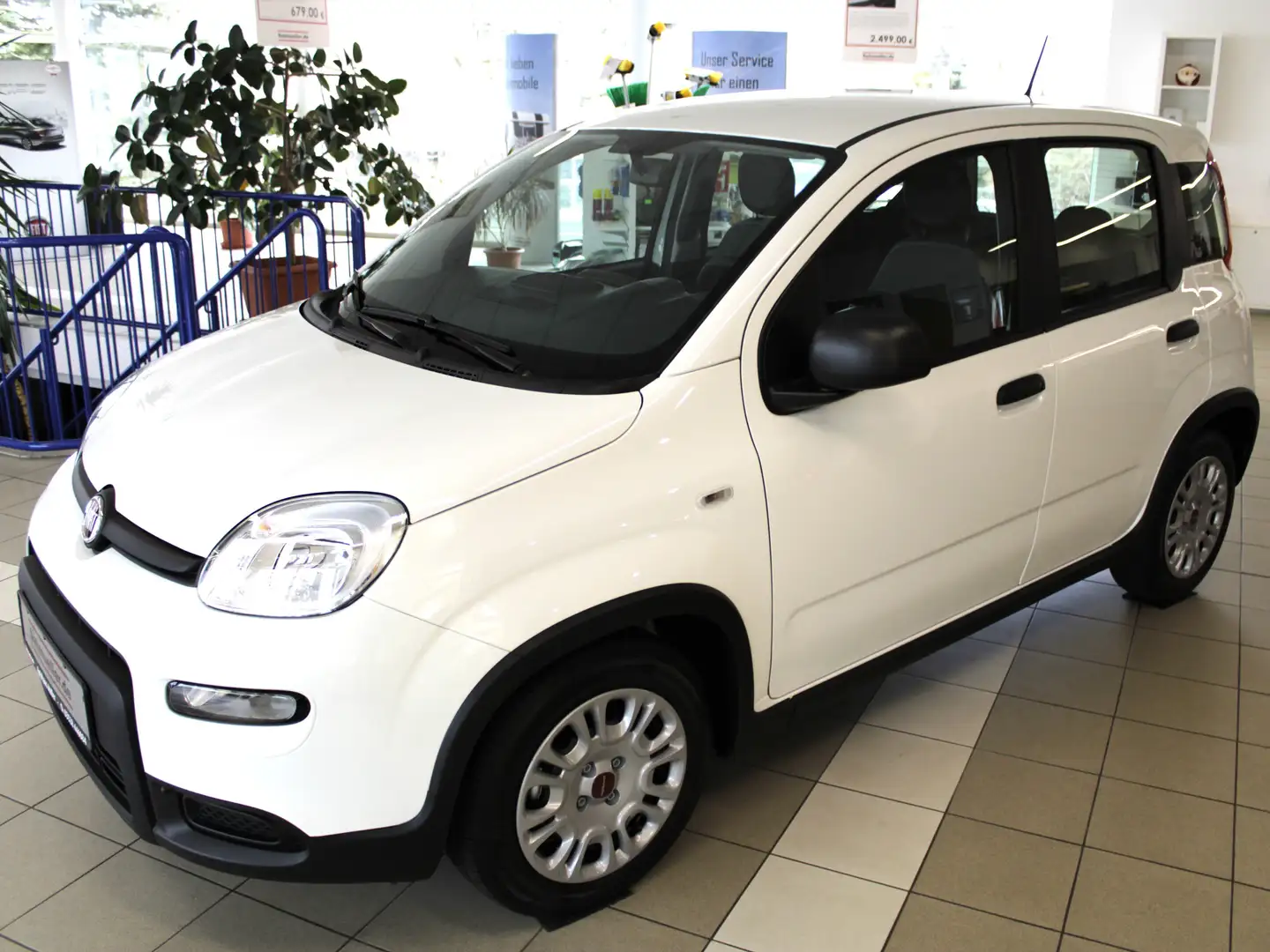 Fiat Panda Hybrid 1,0 GSE / Klima, Servo, Radio, FH, ZV Weiß - 1